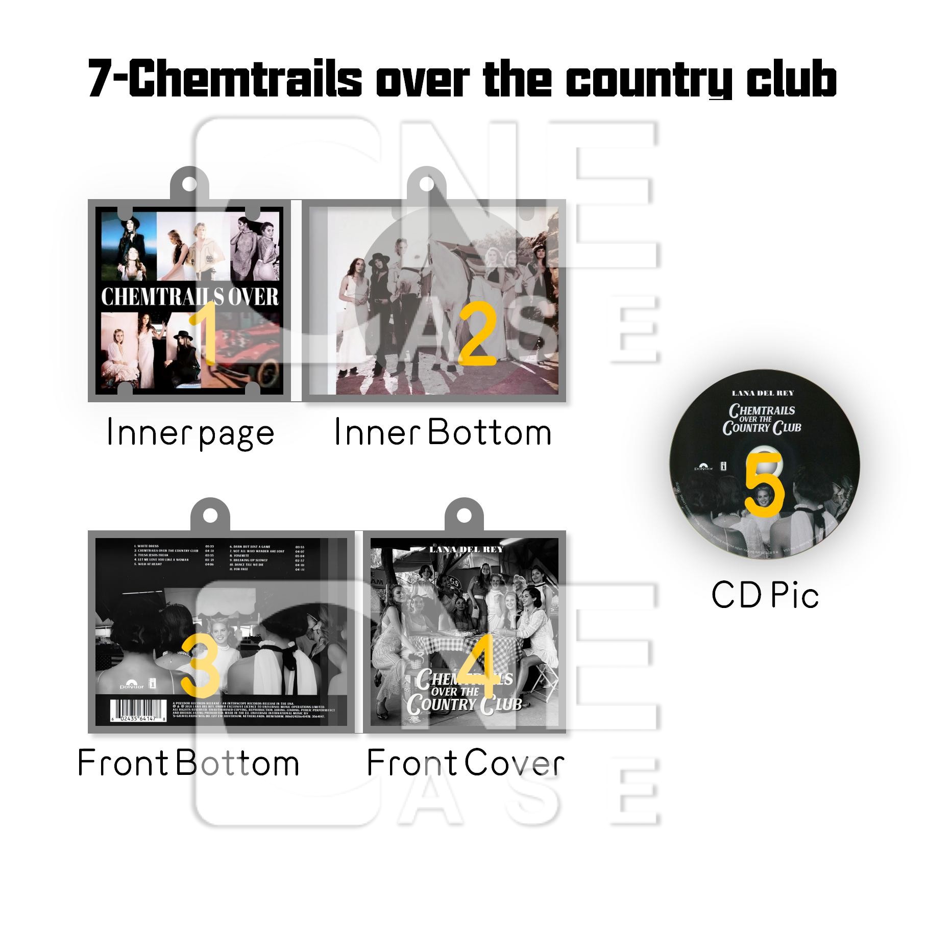 Lana Del Rey  Mini vinyl NFC Album Keychain CD Music Keychain Pendant Customized 