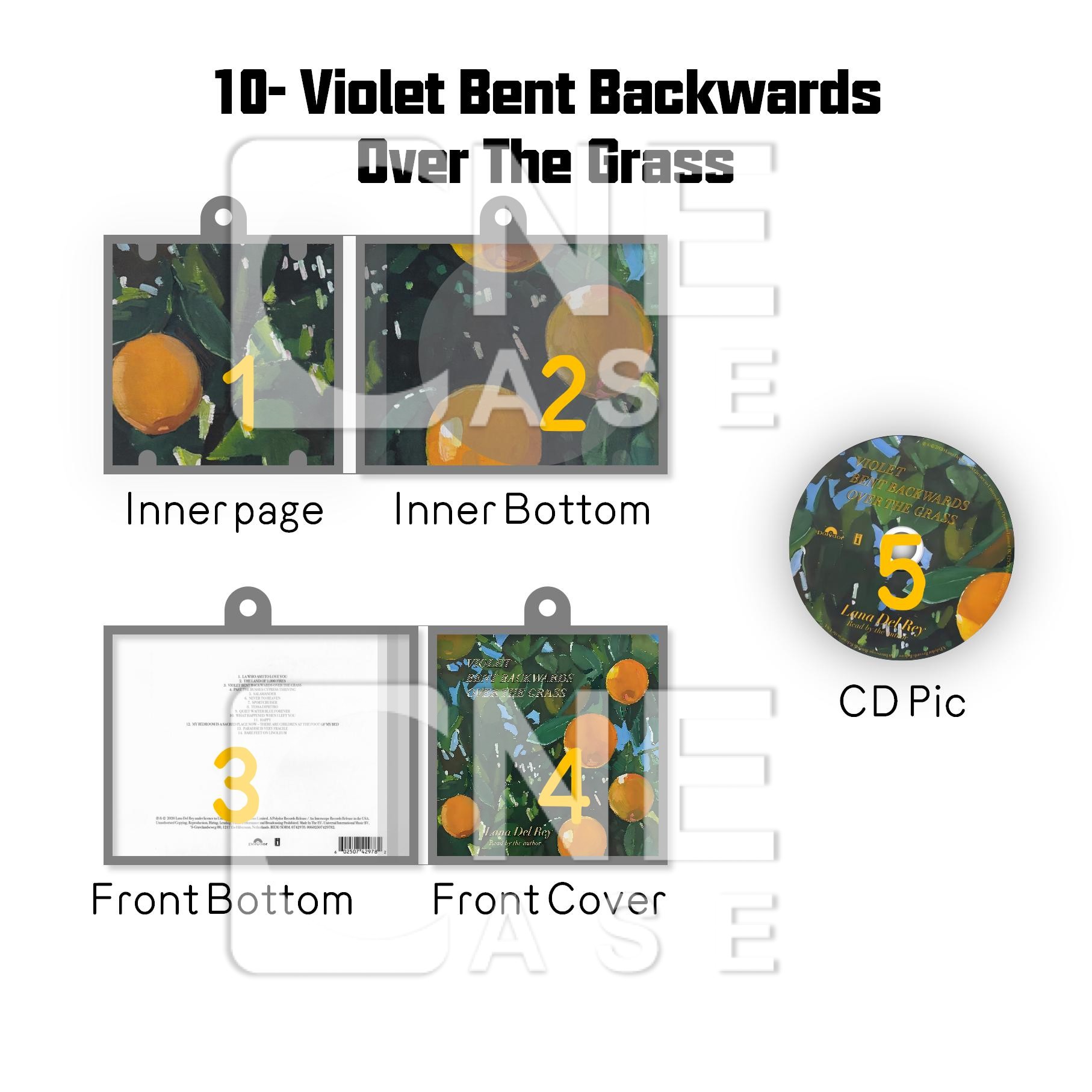 Lana Del Rey  Mini vinyl NFC Album Keychain CD Music Keychain Pendant Customized 