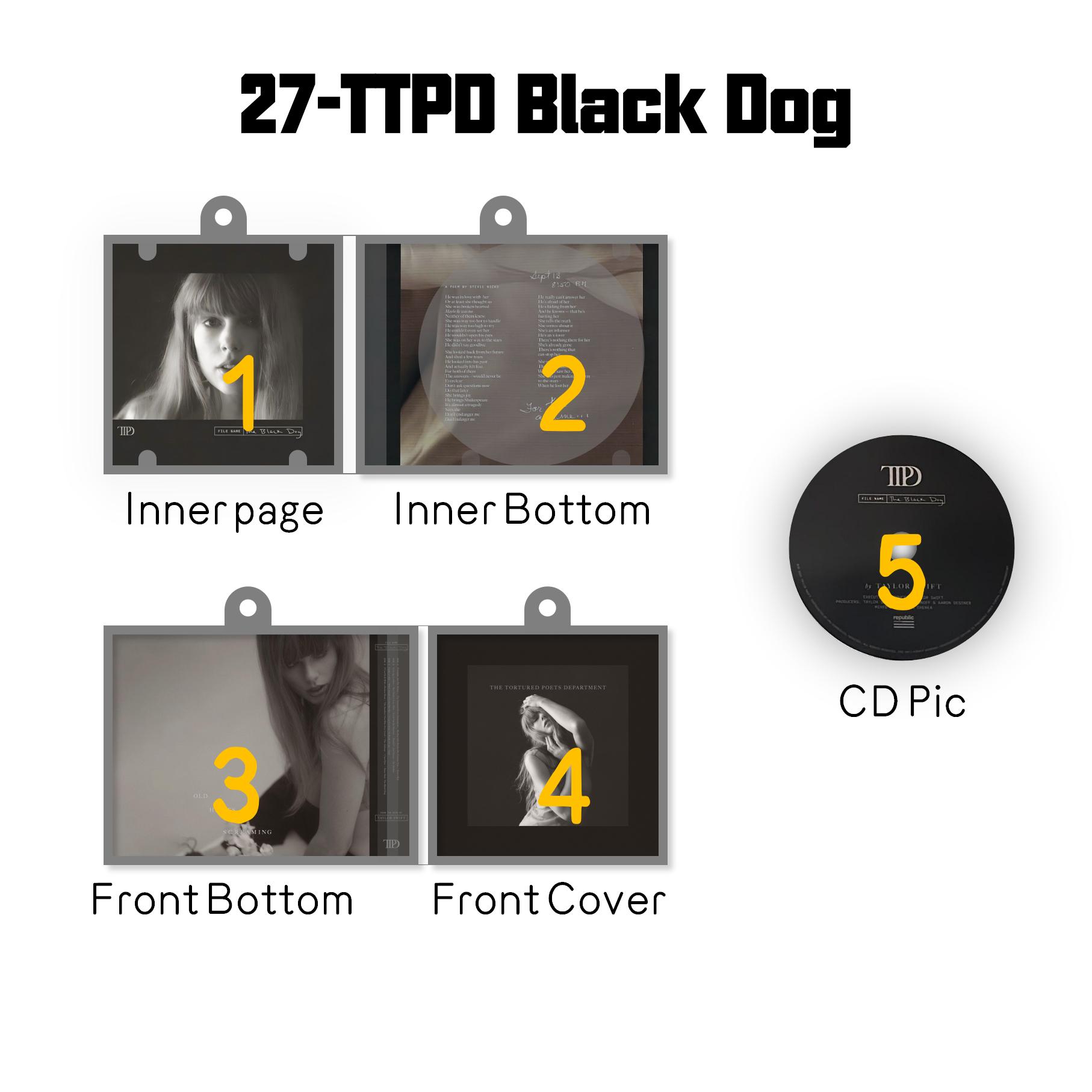 Taylor Swift Mini vinyl NFC Album Keychain Customized TS