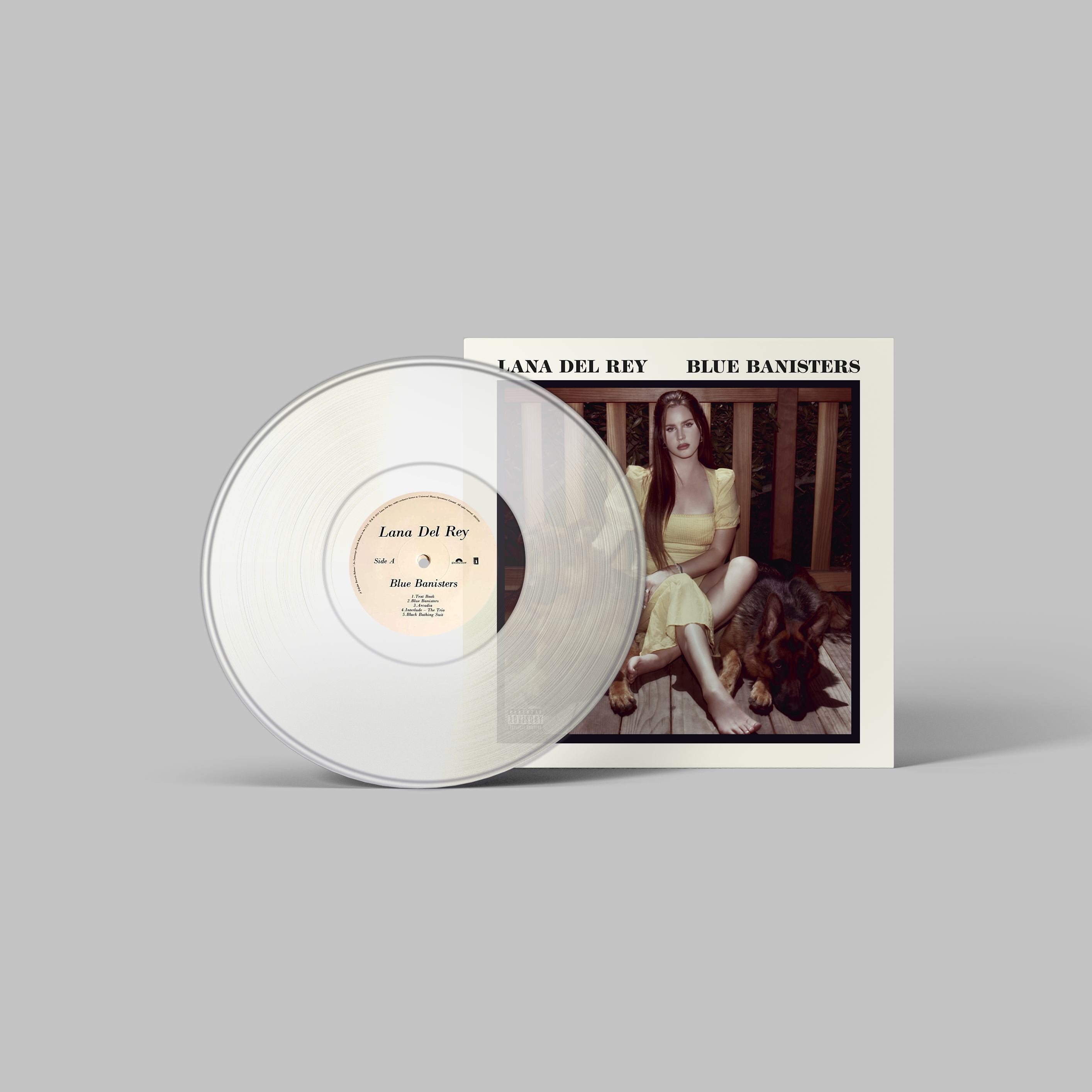 Lana Del Rey Handmade Mini Vinyl Album Set All Albums Customised Gift 
