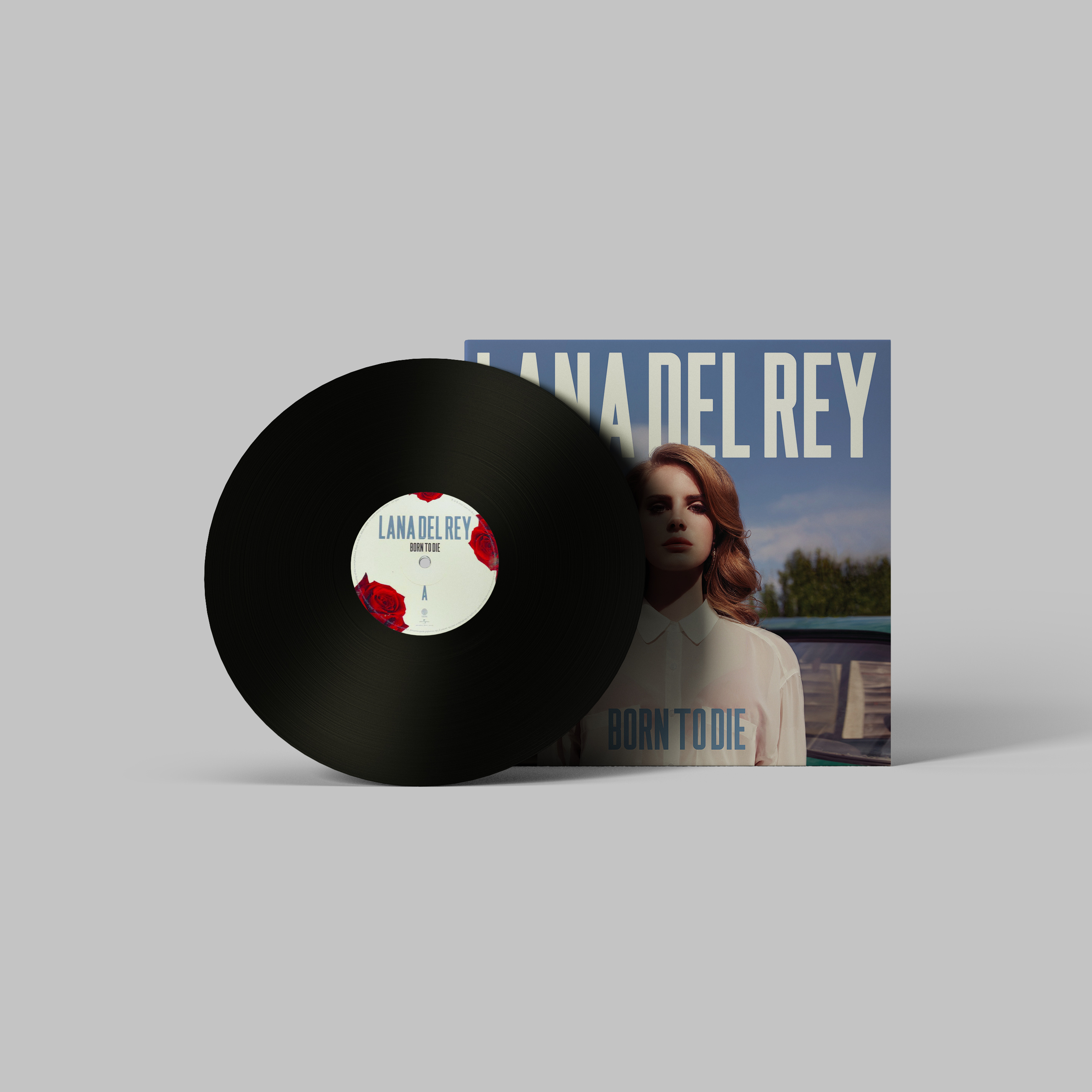 Lana Del Rey Handmade Mini Vinyl Album Set All Albums Customised Gift 