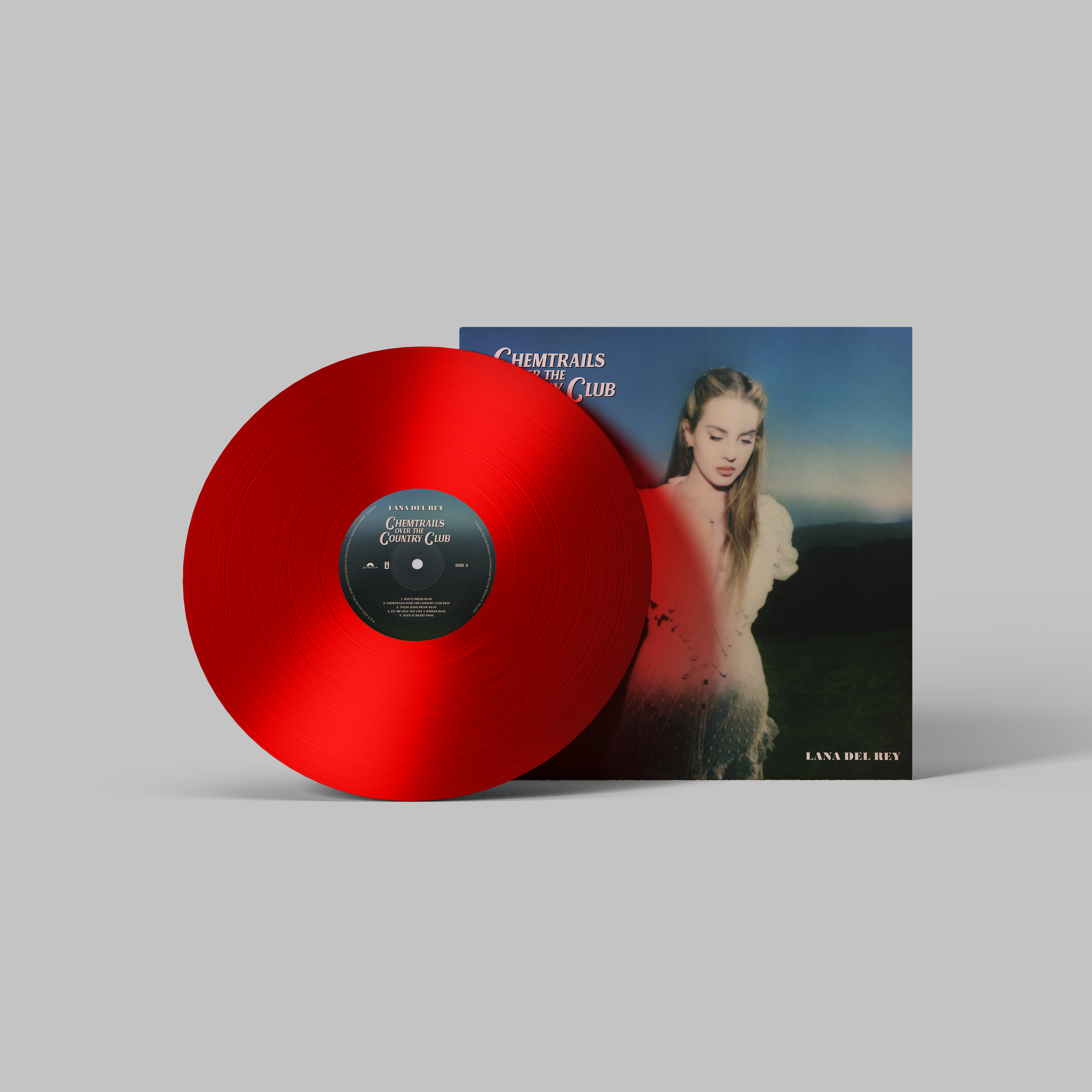 Lana Del Rey Handmade Mini Vinyl Album Set All Albums Customised Gift 