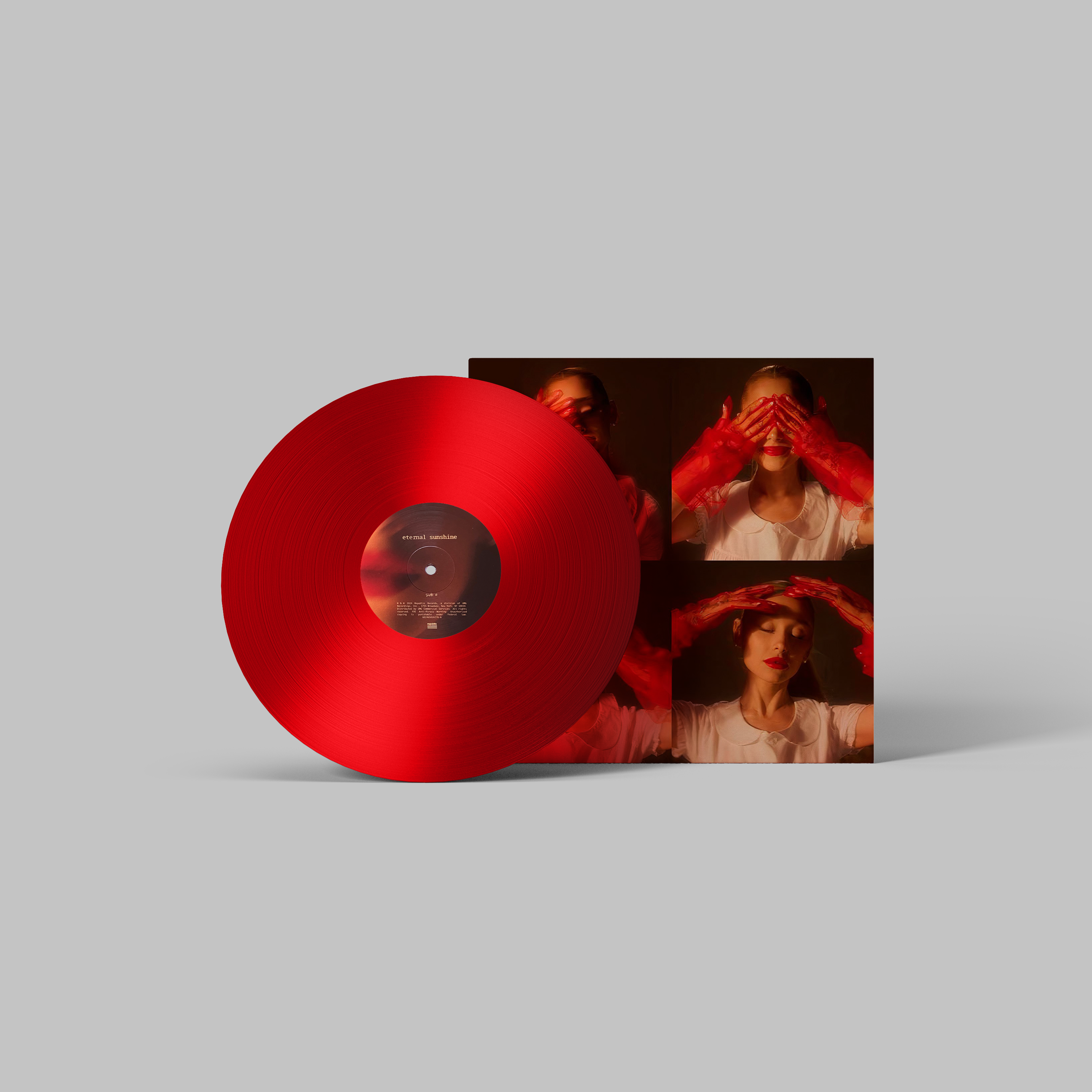 Ariana Grande Handmade Mini Vinyl Album Set All Albums Customised Gift 