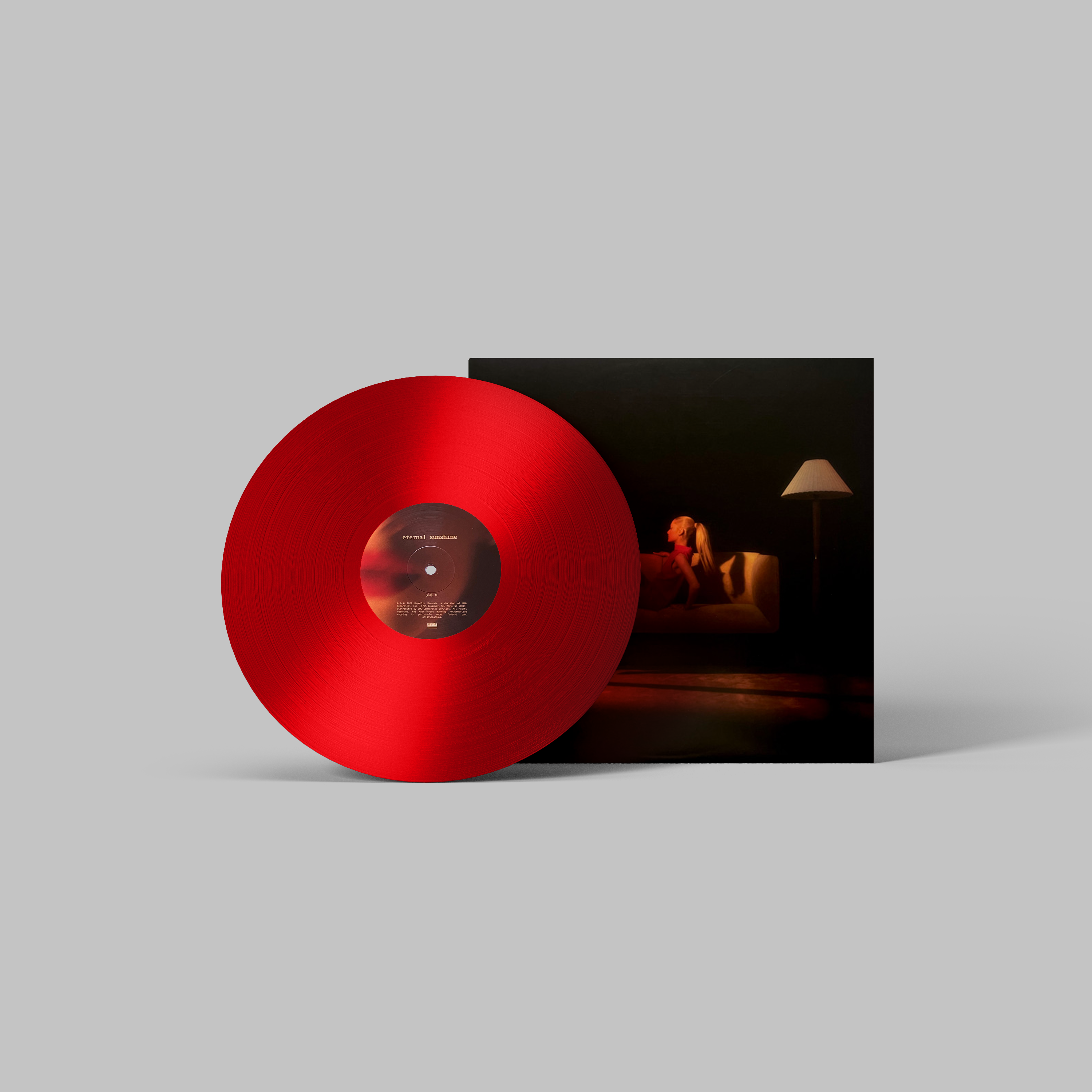 Ariana Grande Handmade Mini Vinyl Album Set All Albums Customised Gift 