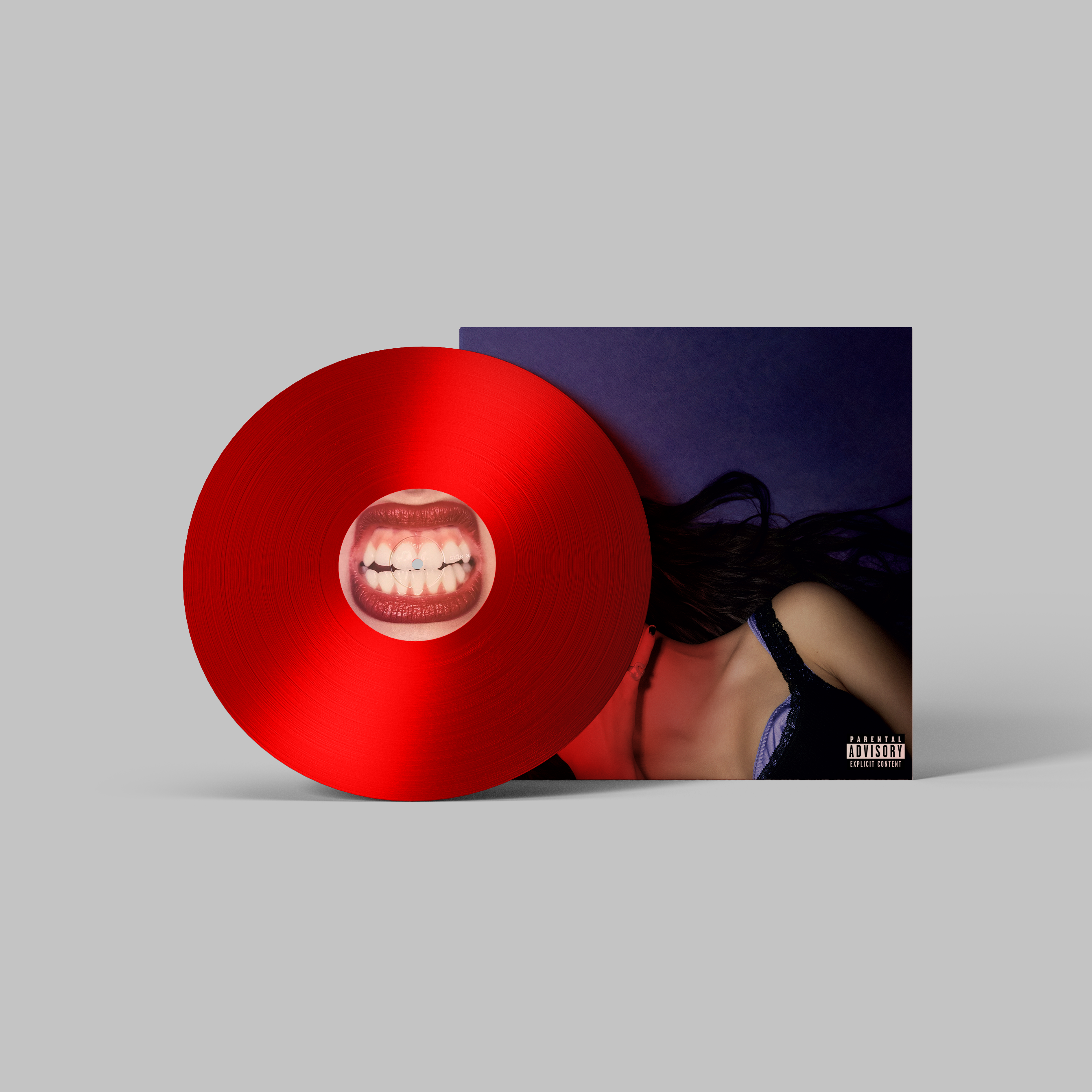 Olivia Rodrigo Handmade Mini Vinyl Album Set All Albums Customised Gift 