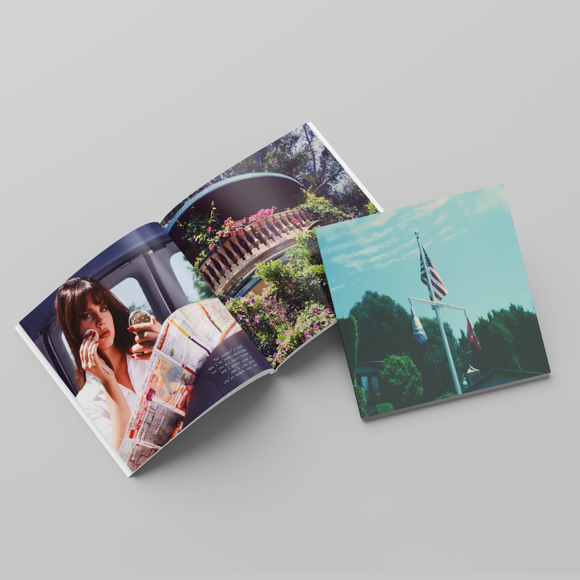 Lana Del Rey Handmade Mini Vinyl Album Set All Albums Customised Gift 