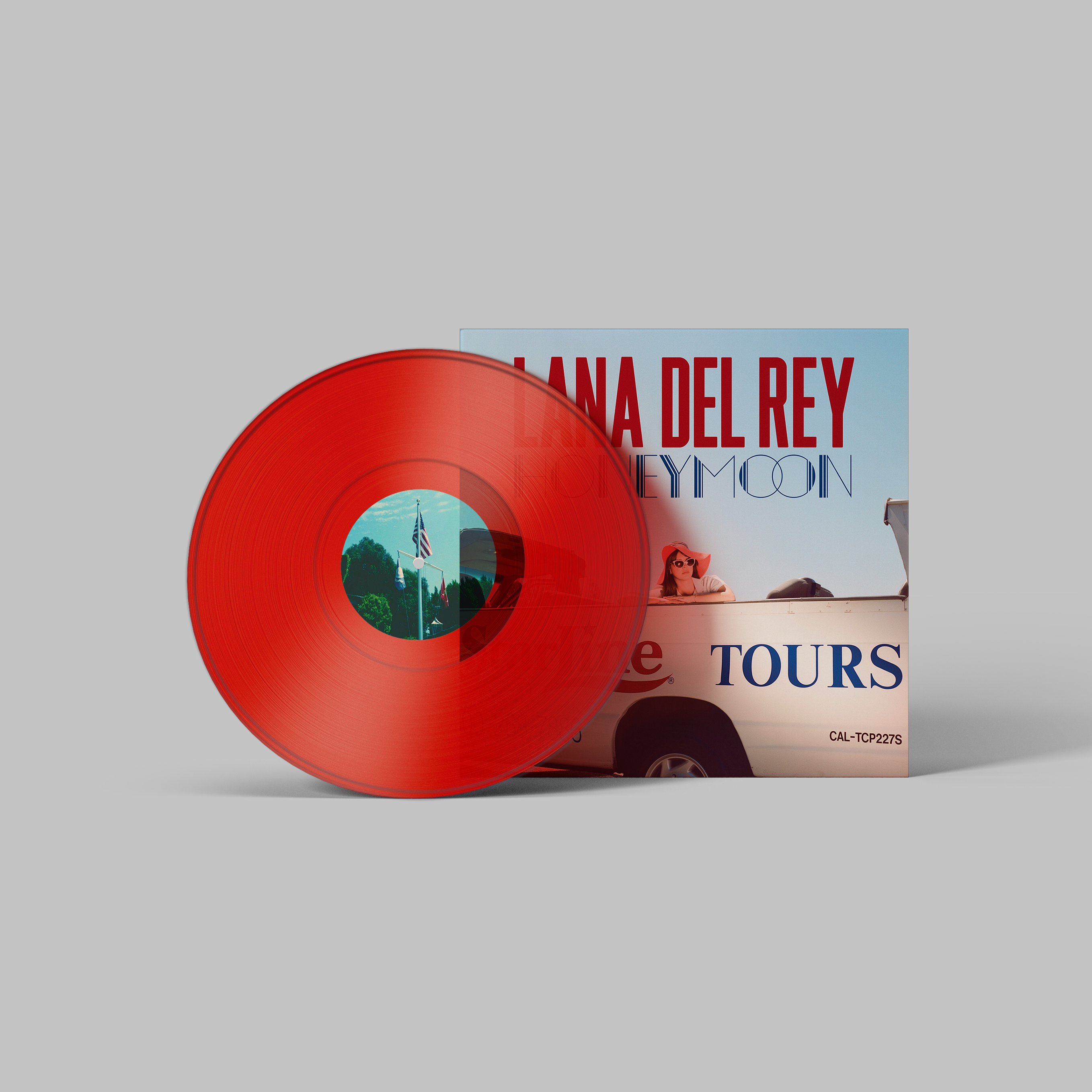 Lana Del Rey Handmade Mini Vinyl Album Set All Albums Customised Gift 