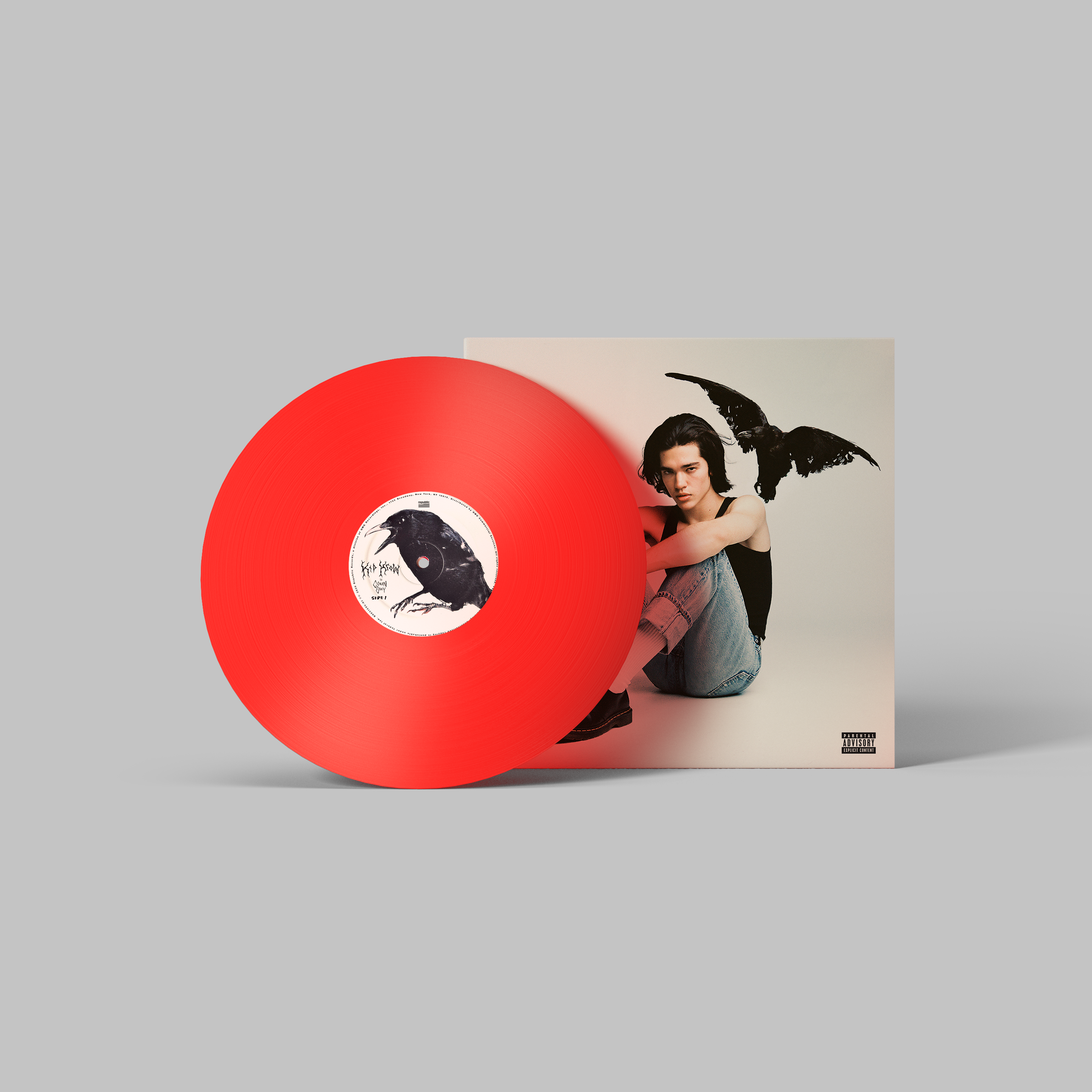 Conan Gray Handmade Mini Vinyl Album Set All Albums Customised Gift 