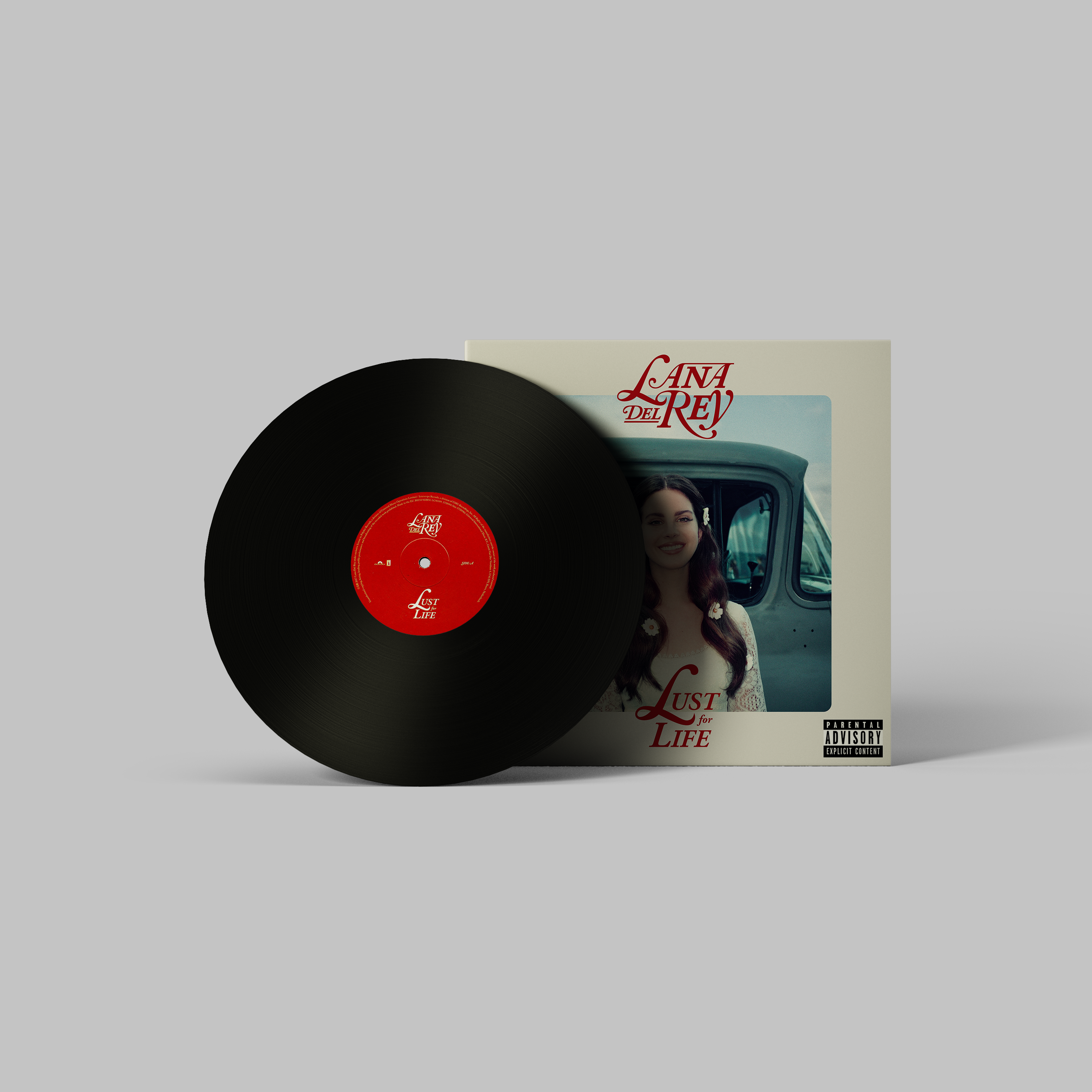 Lana Del Rey Handmade Mini Vinyl Album Set All Albums Customised Gift 
