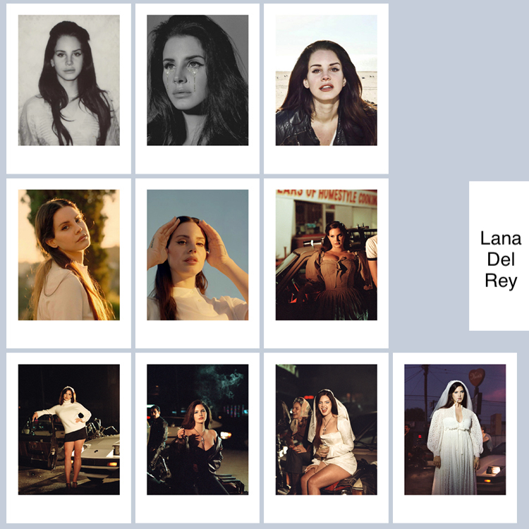 Lana Del Rey Photo Concert Album Complete Set of Photos