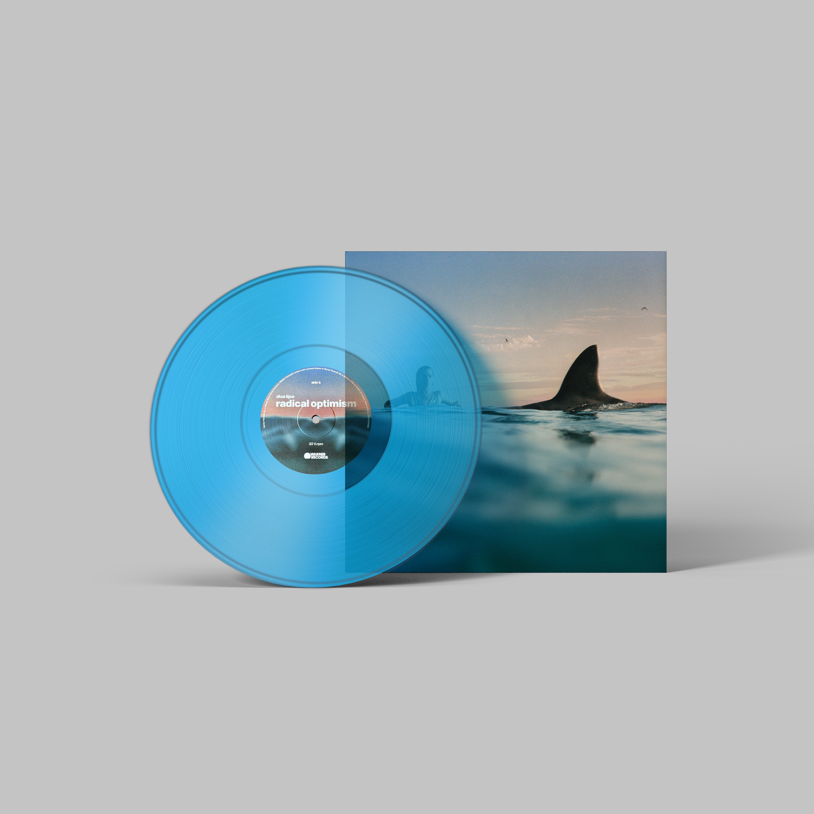 Dua Lipa Handmade Mini Vinyl Album Set All Albums Customised Gift 