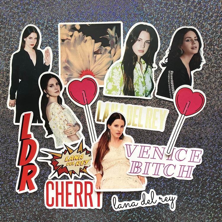 Lana Del Ray Sticker Rock Band Retro Waterproof Decorative Sticker Rock Phone Sticker 