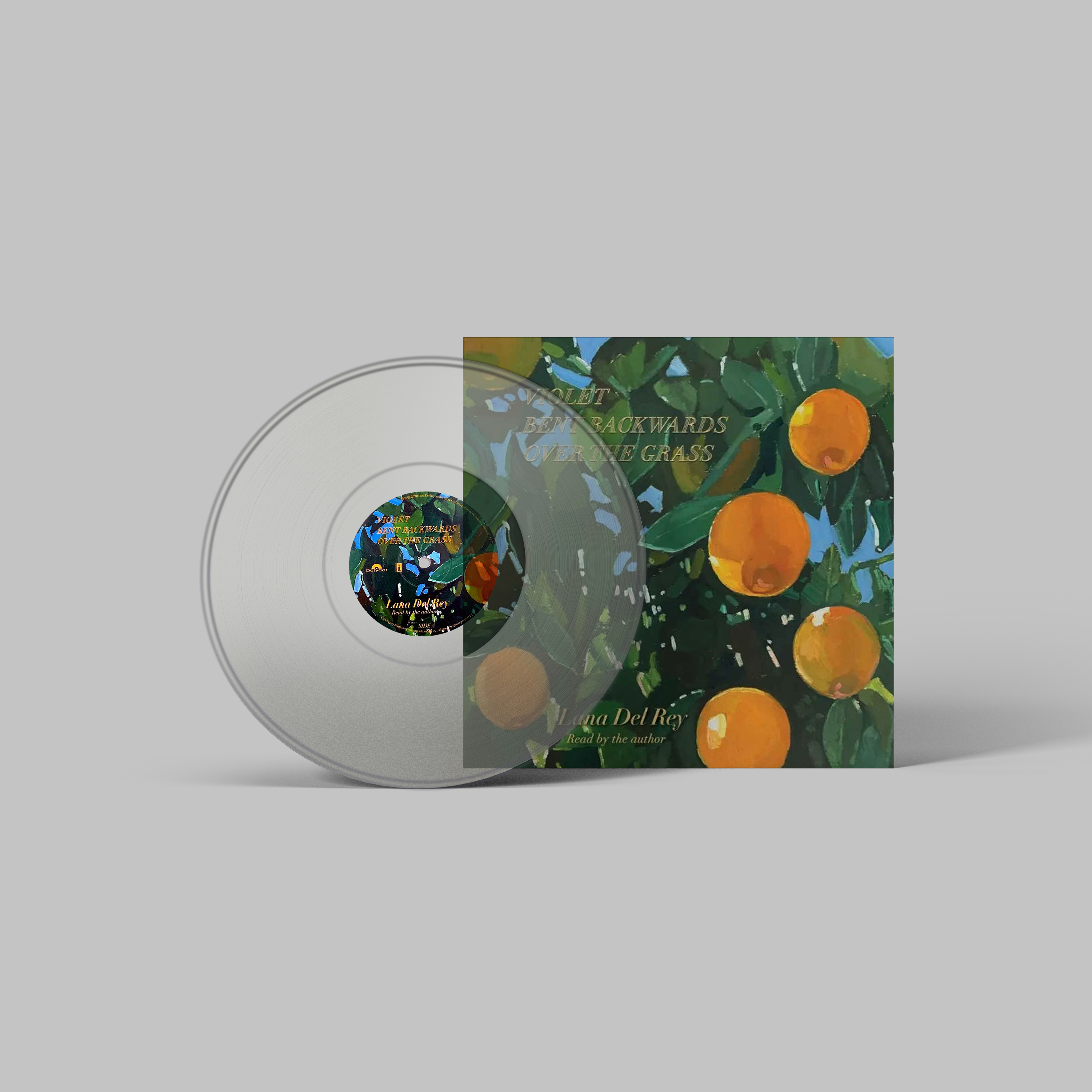 Lana Del Rey Handmade Mini Vinyl Album Set All Albums Customised Gift 