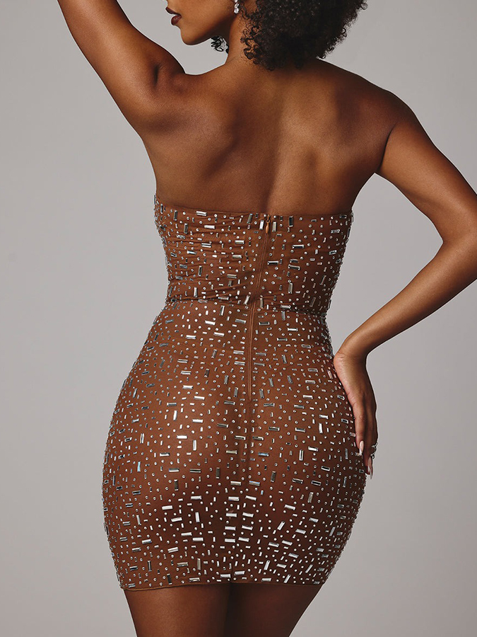 Sheer Embellished Bodycon Mini Dress