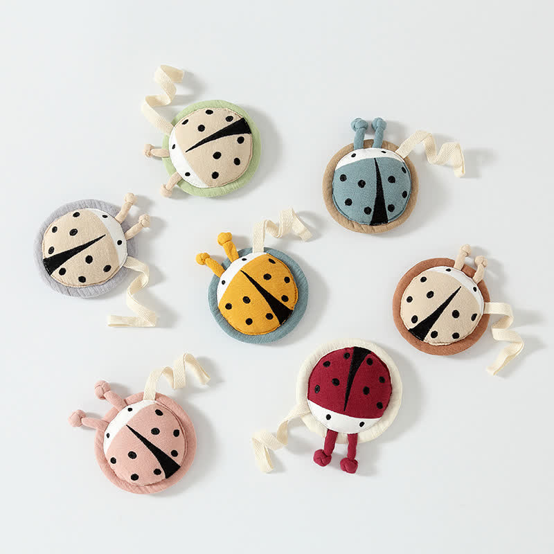 Baby Beetle Soothe Toy