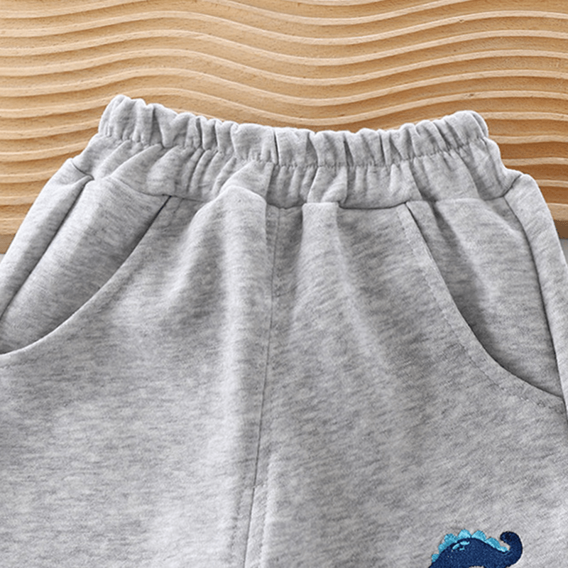 Toddler Boy Blue Dinosaur Sweatpants - image 7