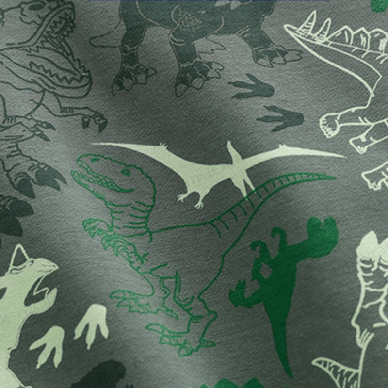 Kid Boy Dinosaurs Grey Green Sweatshirt - image 4