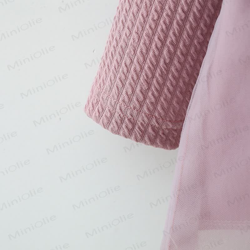 Baby Girl Love Mesh Dress - image 3