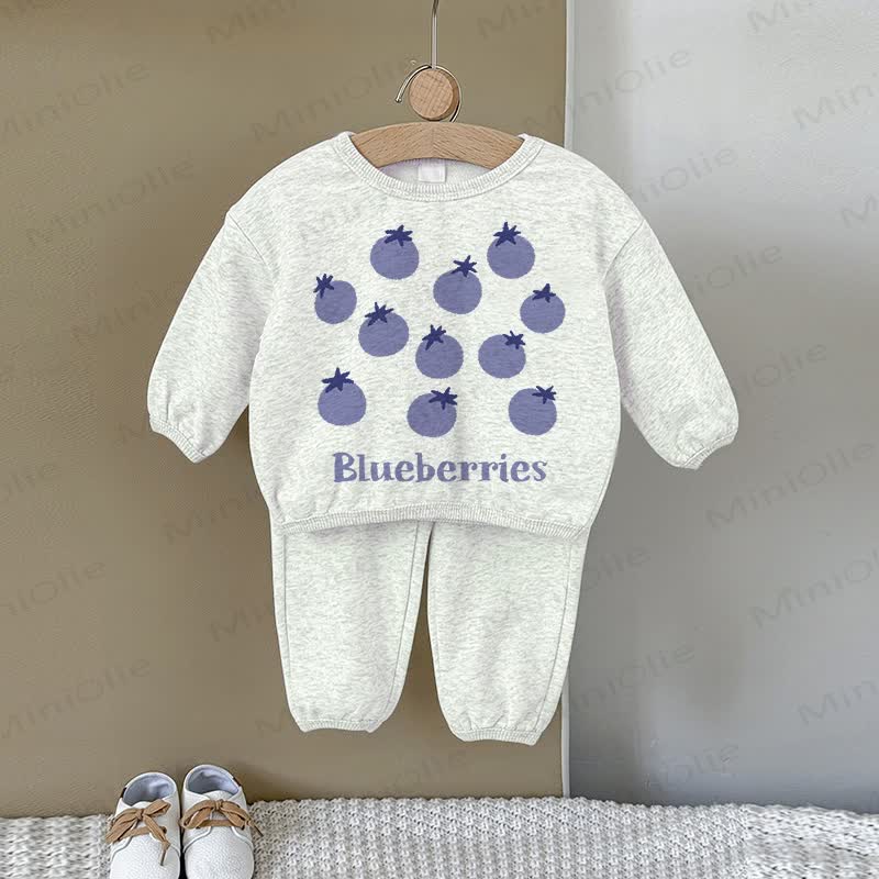BLUEBERRIES Baby Gray Sweatshirt 2-piece Set - Gray - 2-3T - image 1