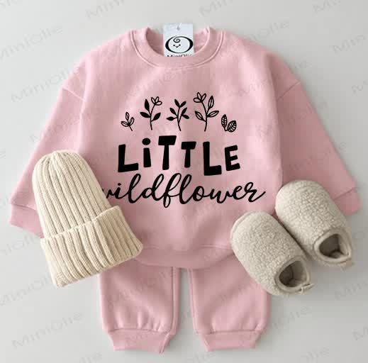 LITTLE WILDFLOWERS Baby Pink Sweatshirt 2-piece Set - Pink - 2-3T - image 1