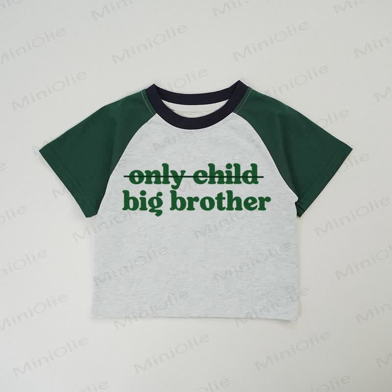 BIG BROTHER Baby Grey T-shirt - Grey - 2-3T - image 1