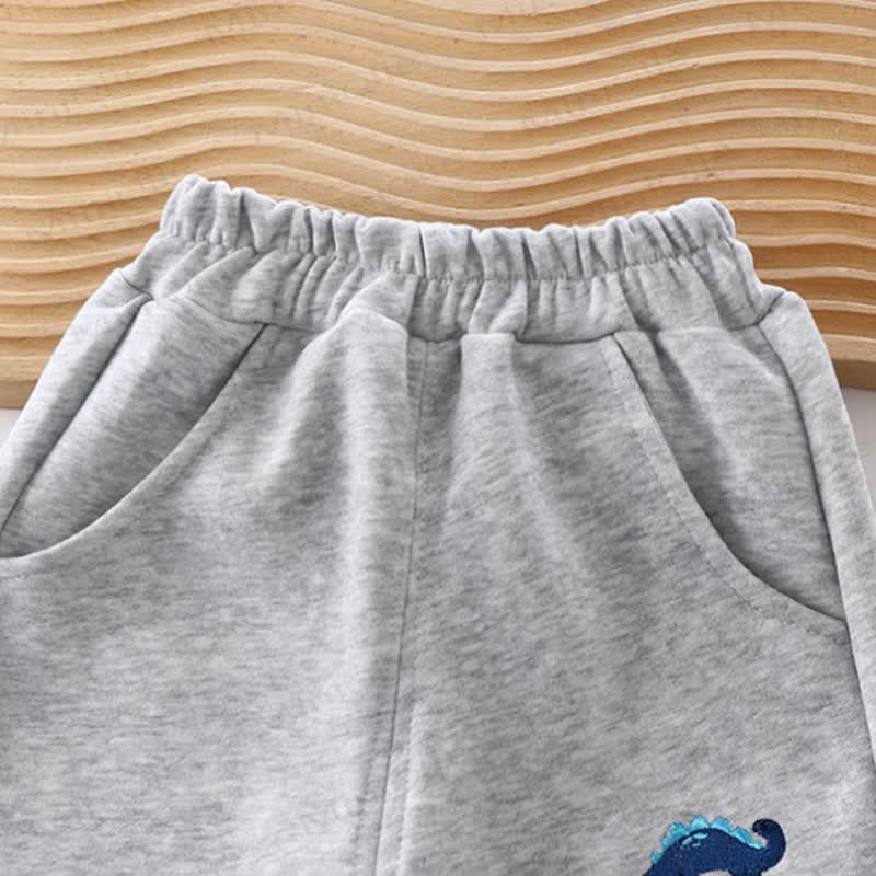 Toddler Boys Dino Embroidered Jogger Pants - image 6