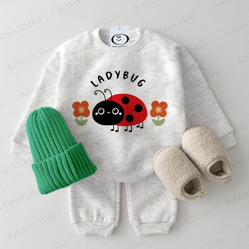  LADYBUG Baby Light Grey Flower Sweatshirt 2-piece Set - Light Grey - 2-3T - image 1