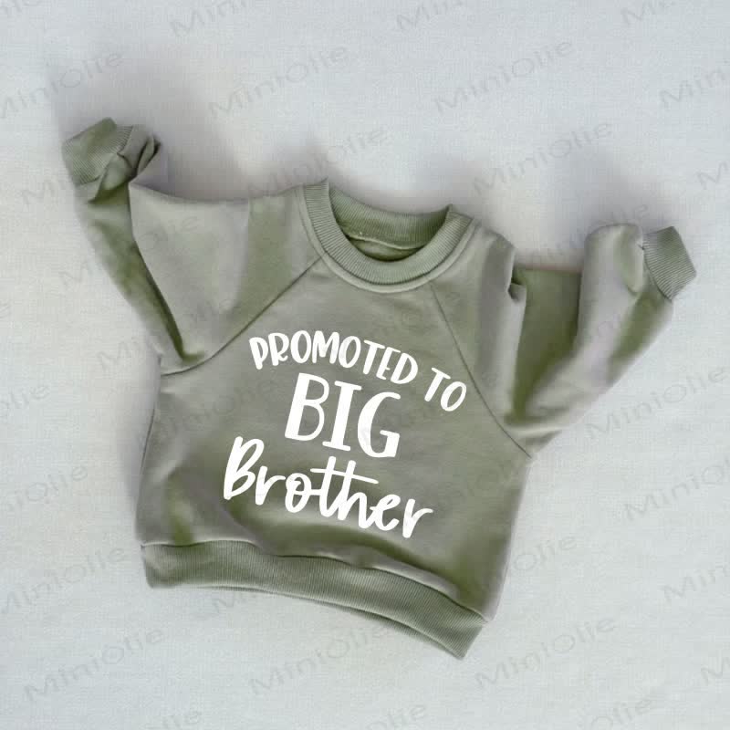 PROMOTED TO BIG BROTHER Baby Toddler Grey Green Sweatshirt - Grey Green - 3-5T - image 1