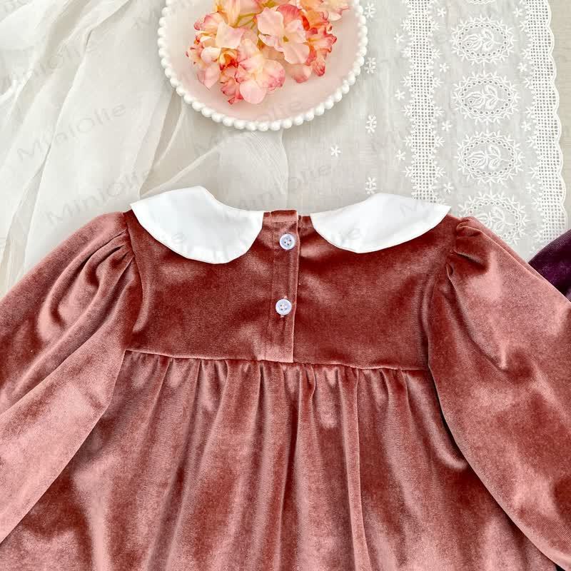Toddler Girl Velvet Flower Collar Dress - image 12