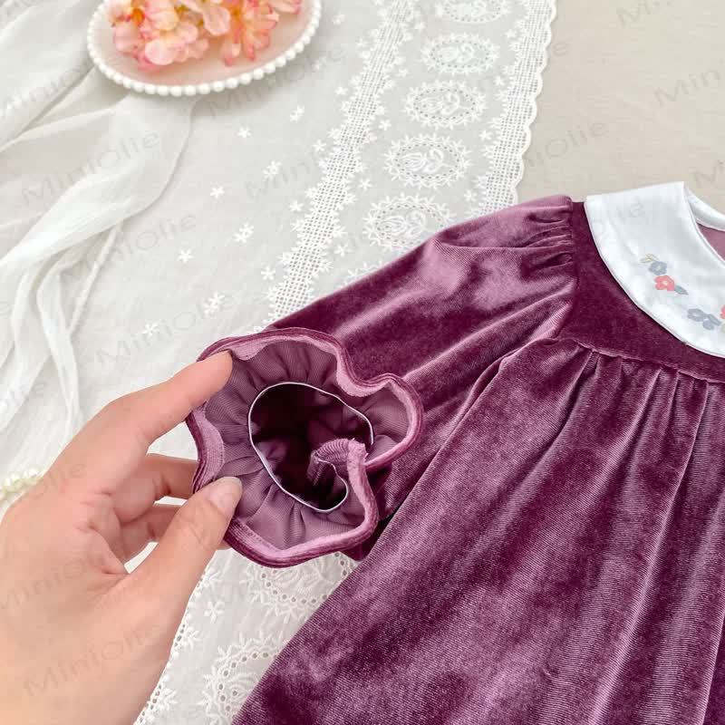 Toddler Girl Velvet Flower Collar Dress - image 6