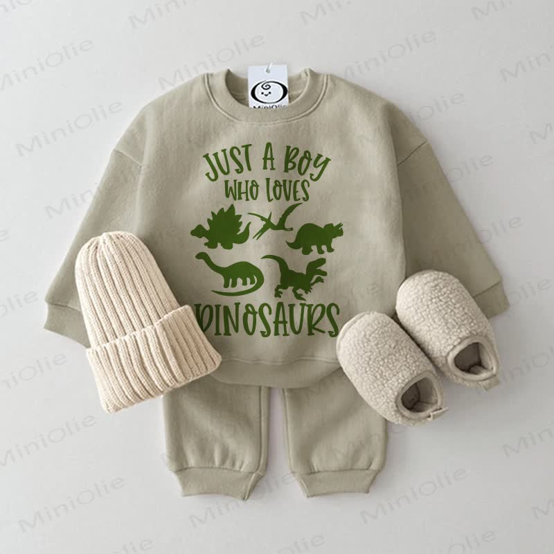 JUST A BOY WHO LOVES DINOSAURS Baby Sweatshirt 2-piece Set - Grey Green - 2-3T - image 1