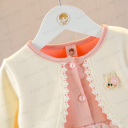 Baby Toddler Bunny Pink Mesh Dress - image 3