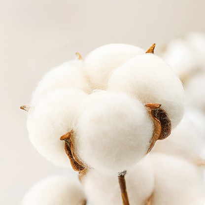 Baby Mushroom Patch Waffle Romper - image 14