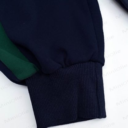 Baby Toddler Colorblock Hooded Jacket or Jogger - image 8