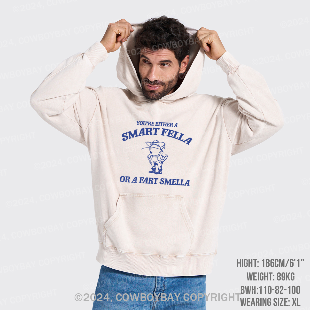 Are You A Smart Fella Or Fart Smella Garment-Dye Hoodies