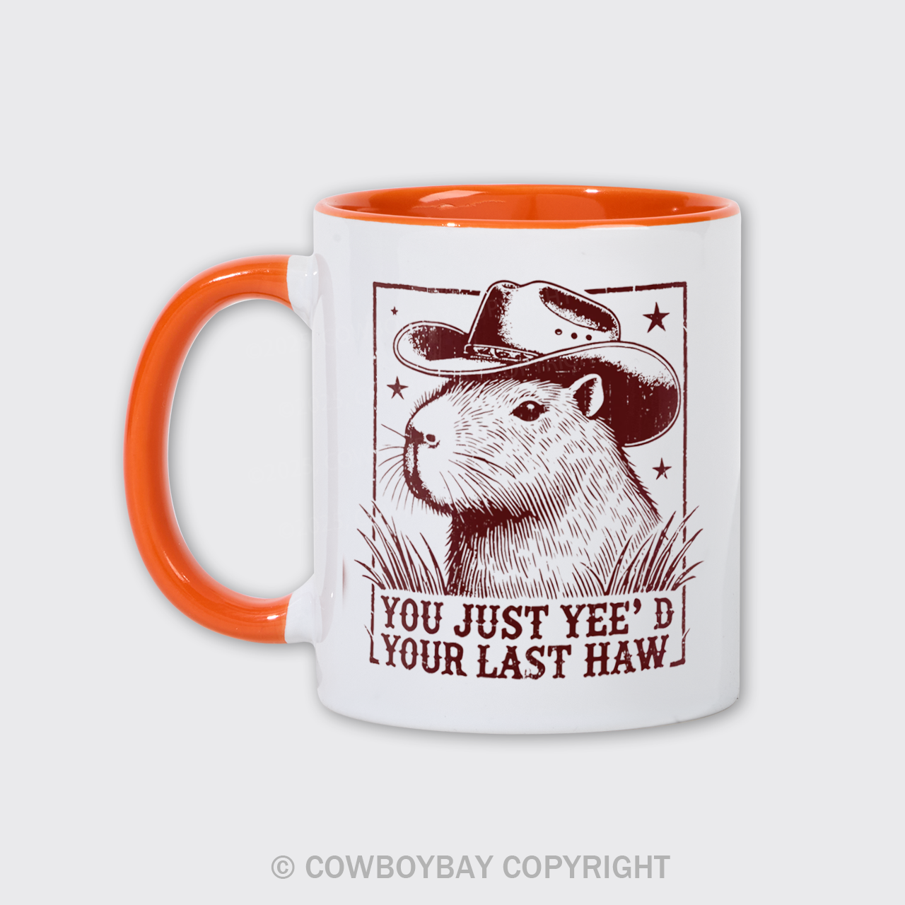 Funny Capybara Mug