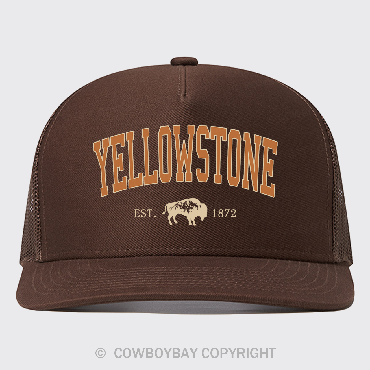 Vintage Yellowstone Trucker Hat