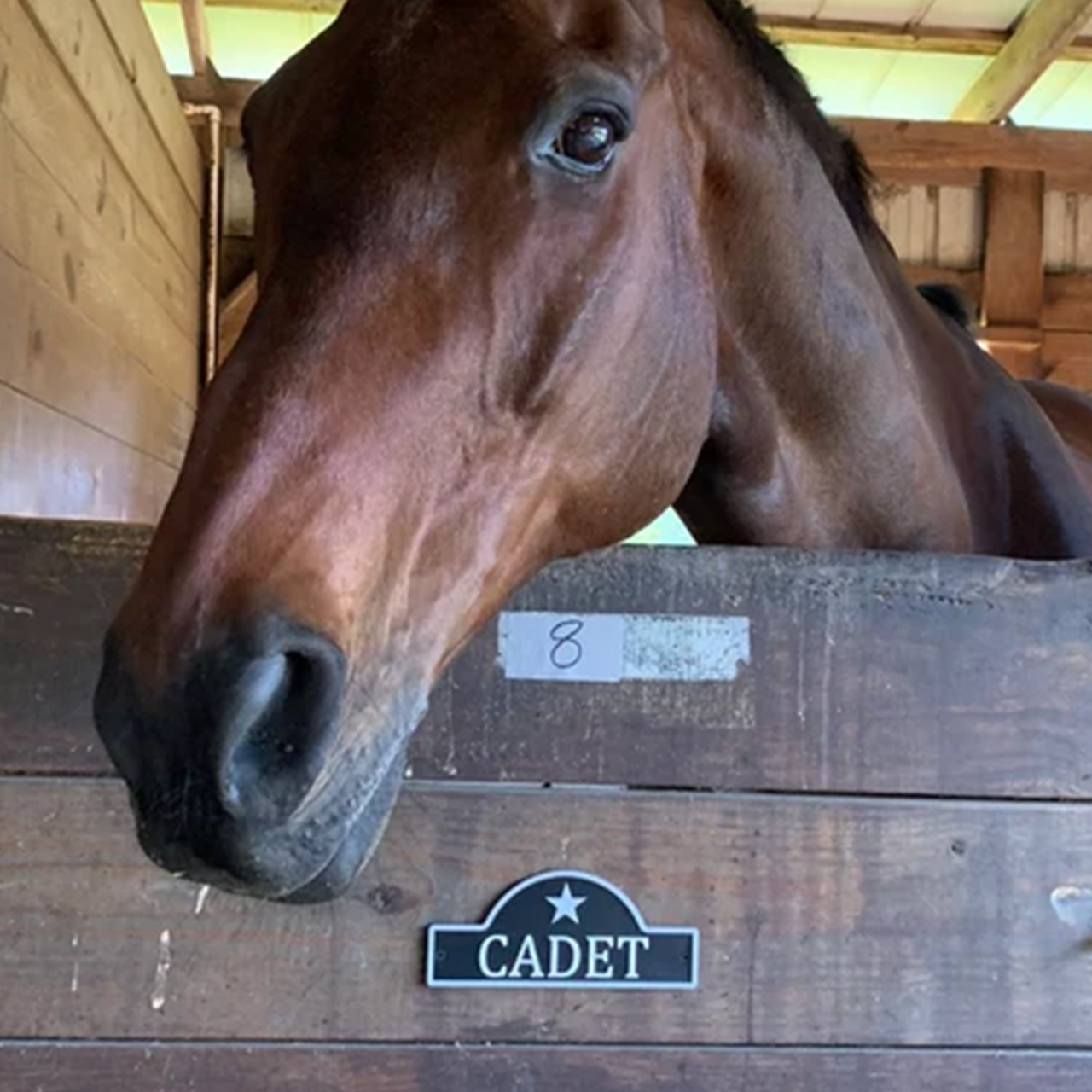 Personalised Stable Door Name Plate