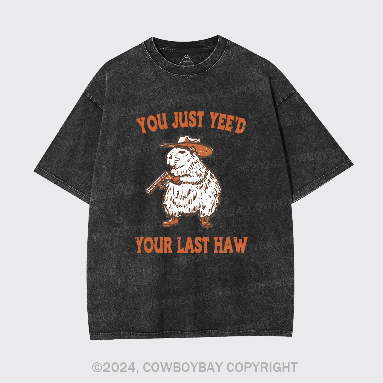You've Lost Your Last Chance Garment-dye Tees
