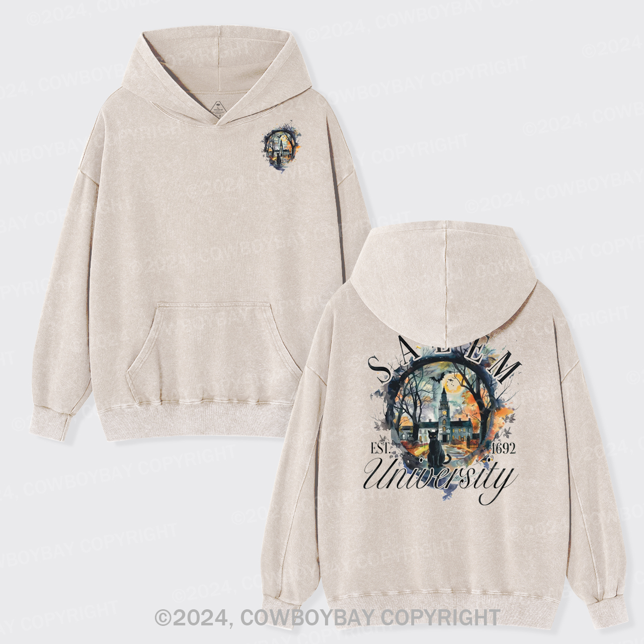 Salem University  EST.1692 Garment-Dye Hoodies