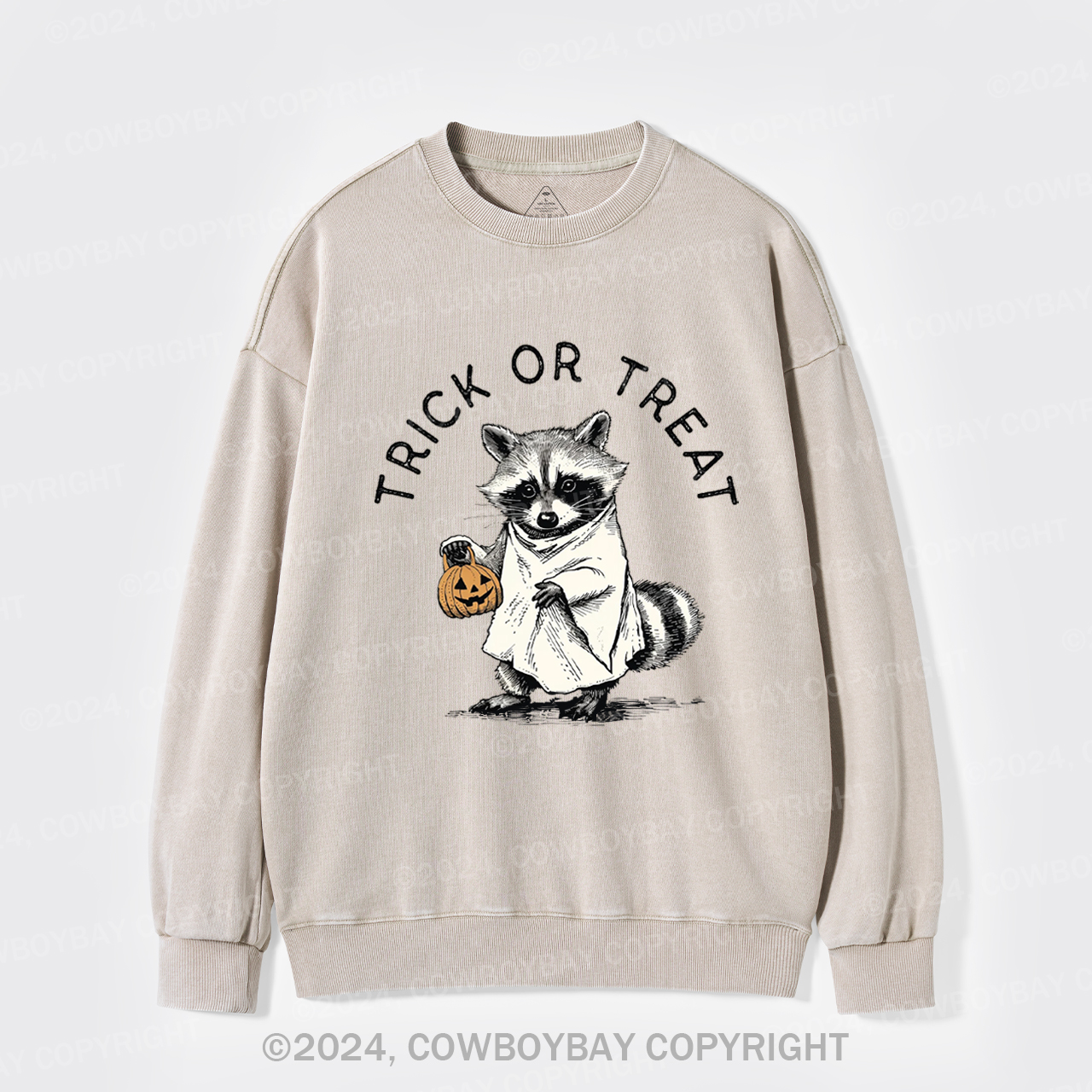 Trick Of Treat Washed Sweatshirts