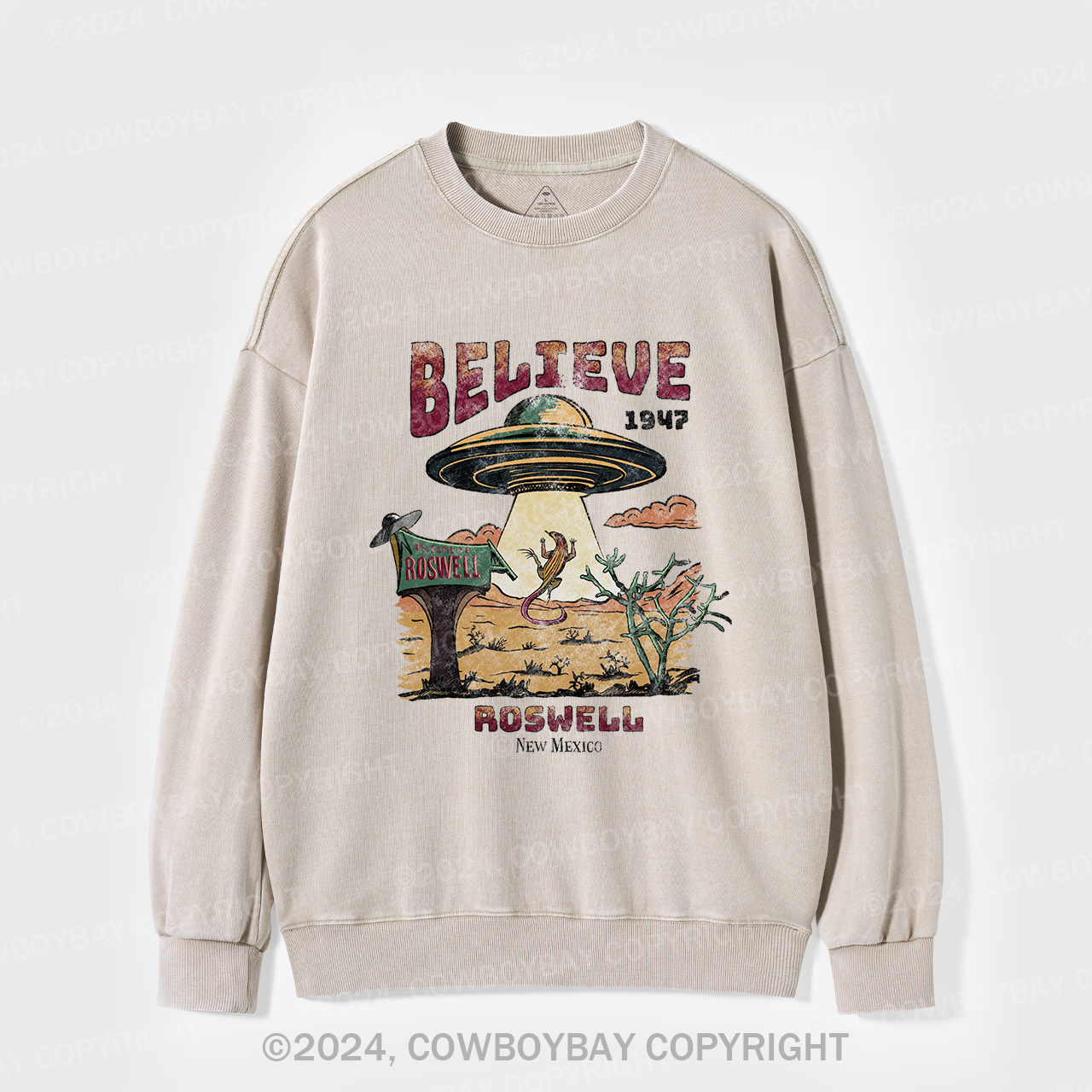 Believe Alien Washed Sweatshirts