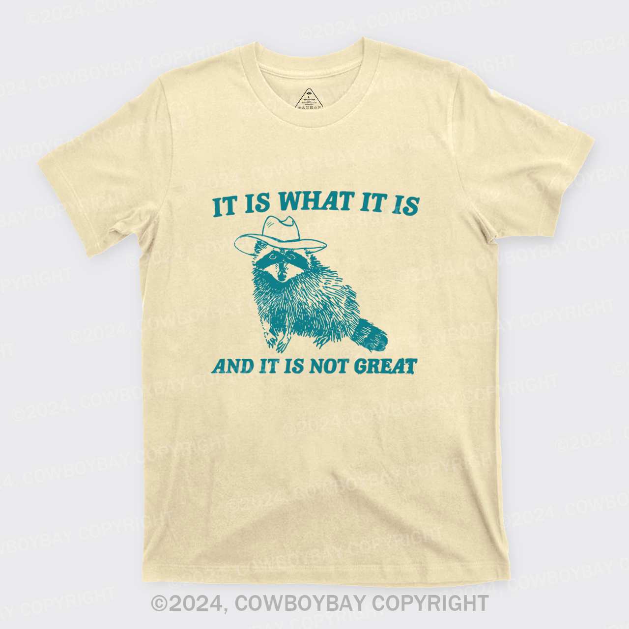 It Is What It Is And It Is Not Great T-Shirts