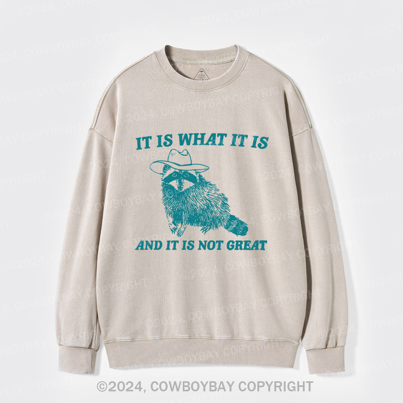 It Is What It Is And It Is Not Great Washed Sweatshirts