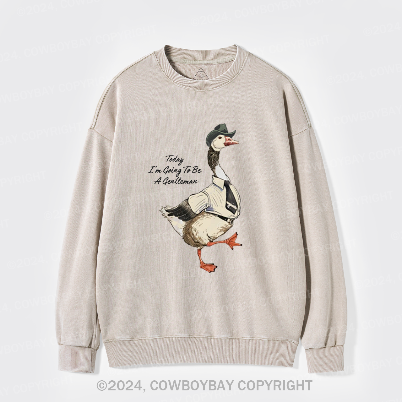 Today I'm Going To Be A Gentleman Washed Sweatshirts