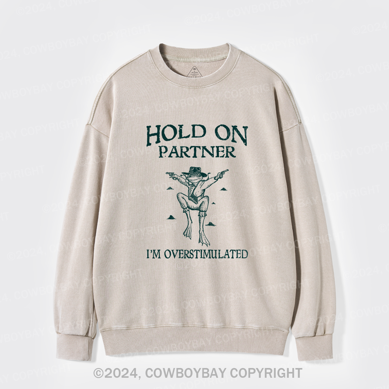 Wait, I'm So Excited Washed Sweatshirts