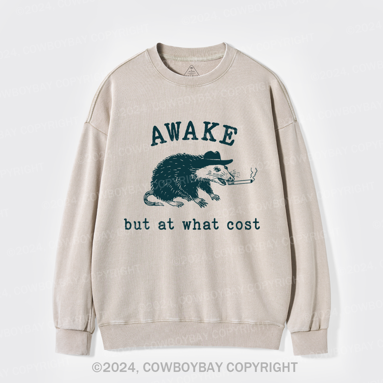 Awake But At What Cost Washed Sweatshirts