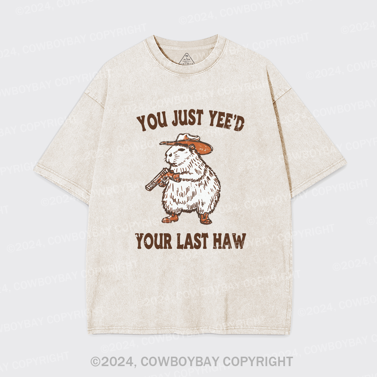 You've Lost Your Last Chance Garment-dye Tees