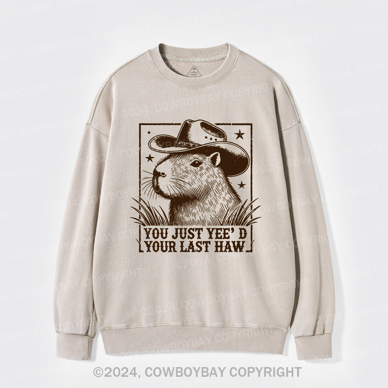 Goodbye, My Partner Washed Sweatshirts