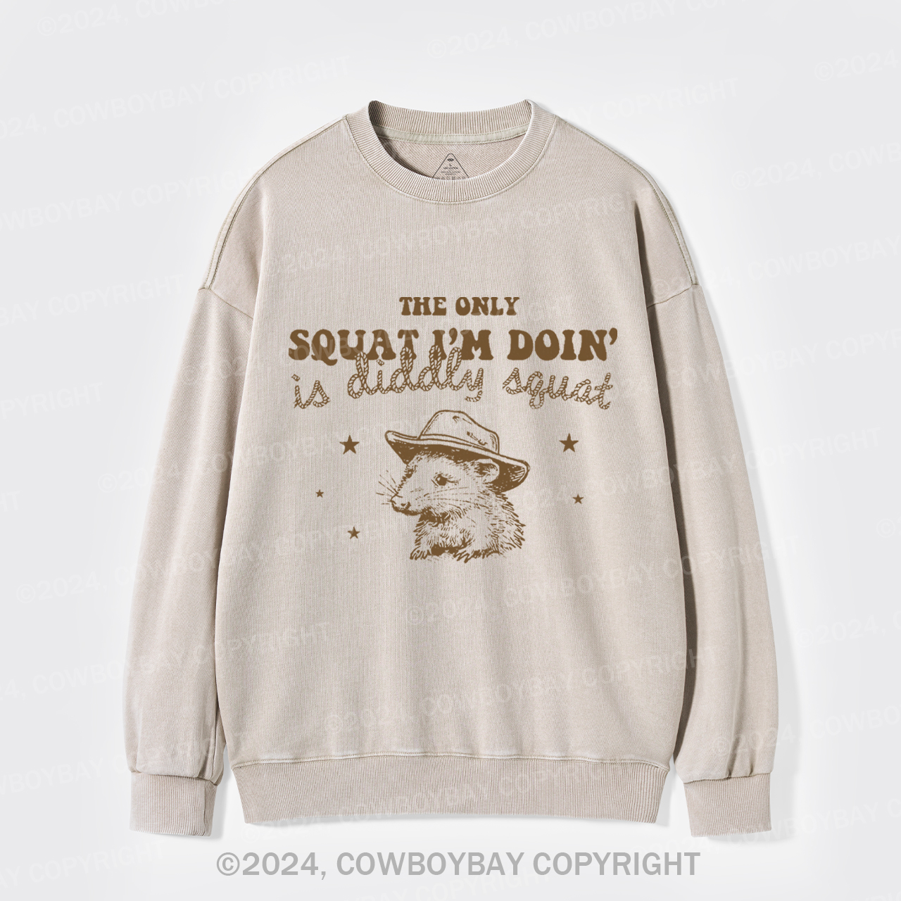 The Only Squat I'm Doing Is Diddly Squat Washed Sweatshirts